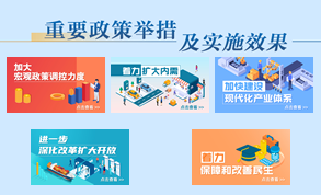 重要政策舉措及實施效果專題